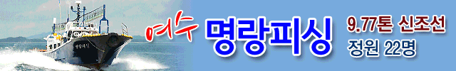 명랑호 감성돔 20241227