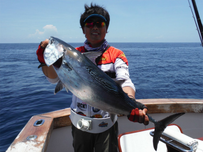 bonito.jpg