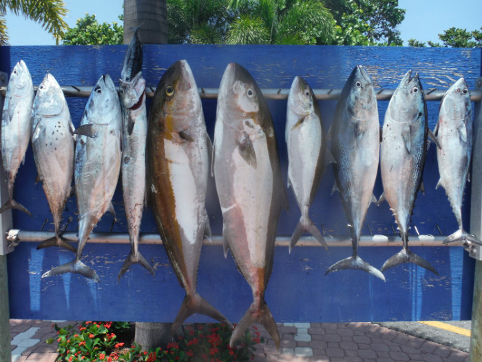 DSCF4776.jpg