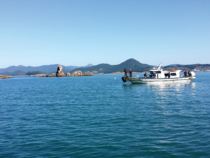 해2-5 20141104_121302.jpg
