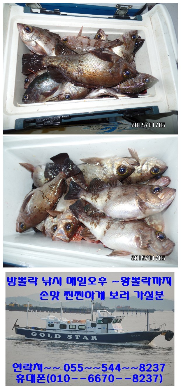 뽈3.jpg