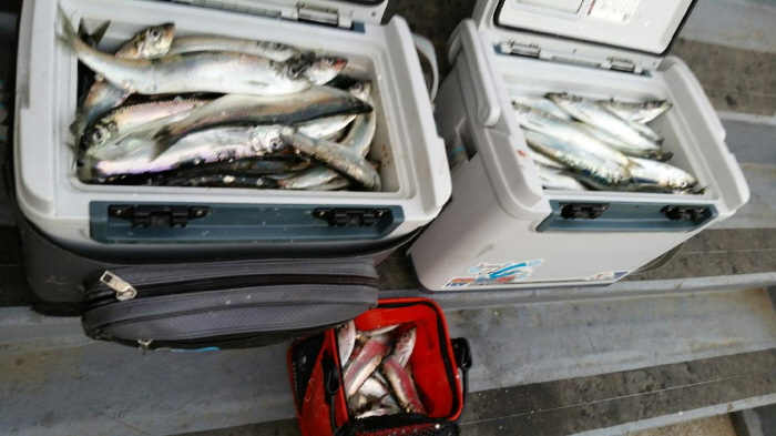 크기변환_20150120_171117.jpg