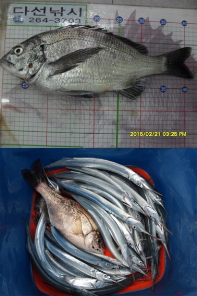 크기변환_feb97f1267388e7879f09c23c9f5ade2_661762194_5-vert.jpg