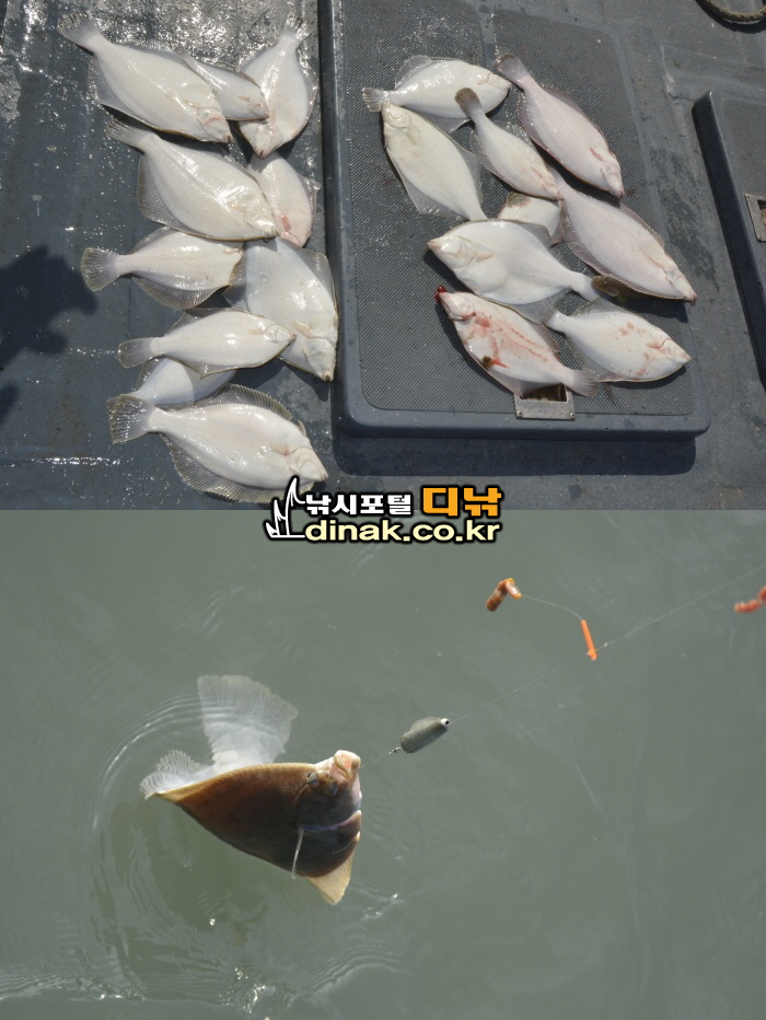 꾸미기_555.jpg