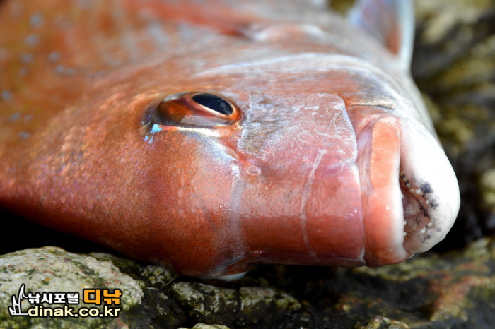 꾸미기_555.jpg