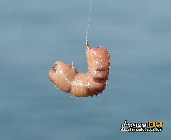 꾸미기_333.jpg