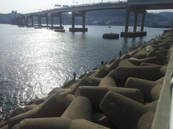 20150501_164857.jpg