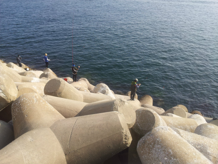 20150501_164957.jpg