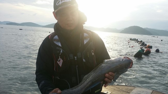 호미3.jpg