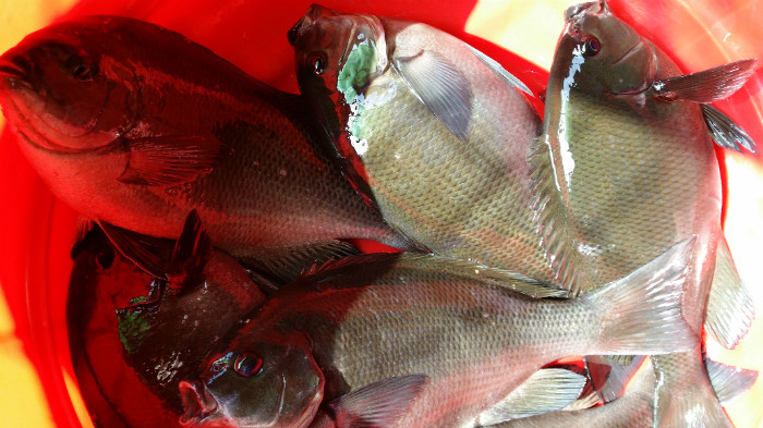 20150805_162450.jpg