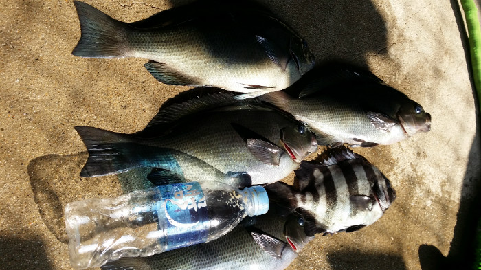 20150805_162718.jpg
