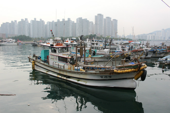 사본 -IMG_3447.jpg