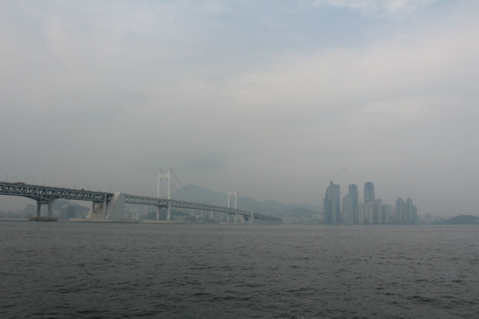 IMG_3453.JPG