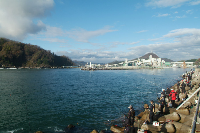 DSCF0095.JPG