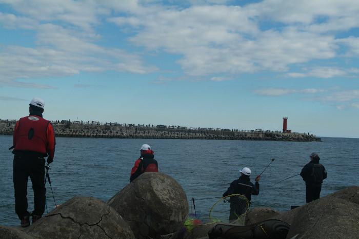 DSCF0114.JPG