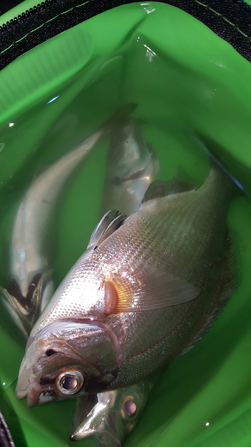 20151123_231710.jpg