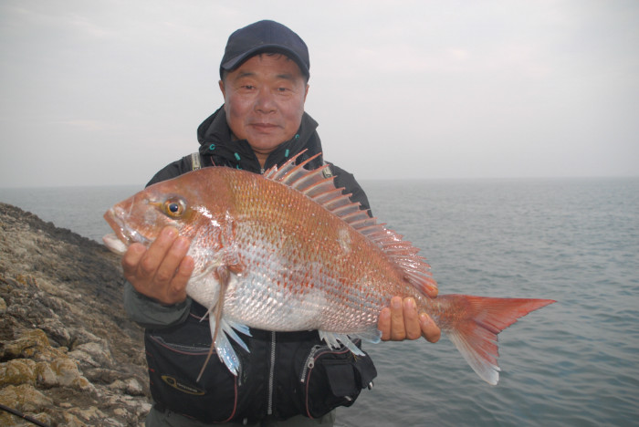 SJD_6236.JPG