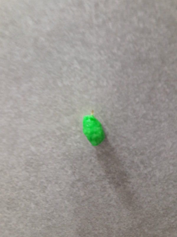 20160812_204207 .jpg