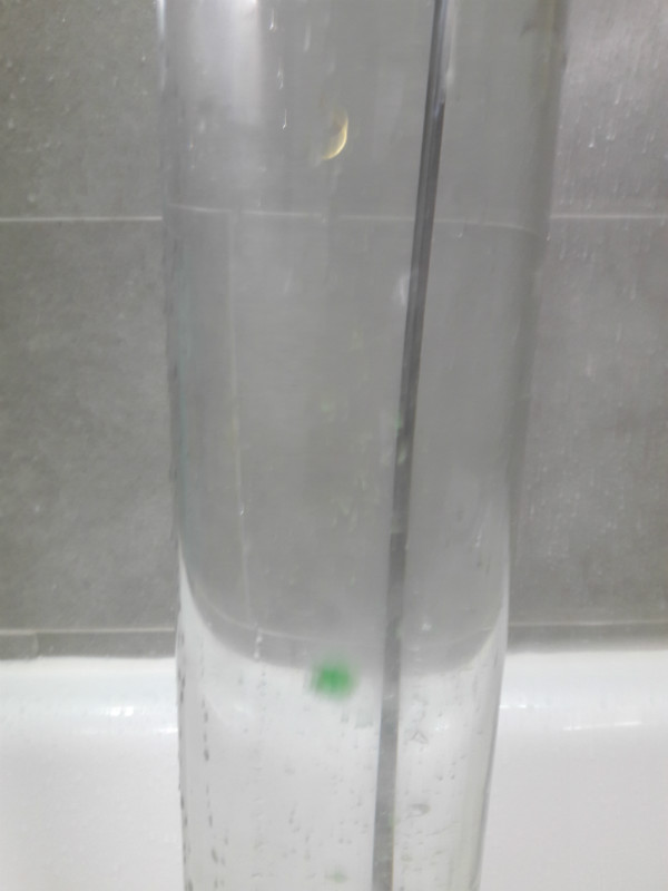 20160812_204328.jpg