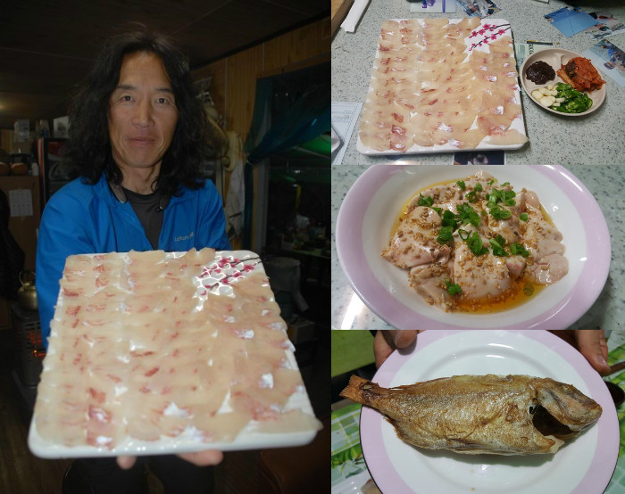 회-horz.jpg
