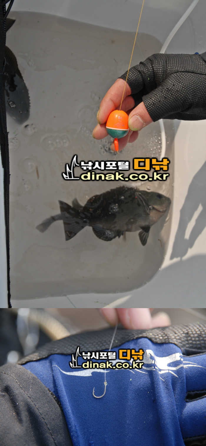 크기변환_꾸미기_채비.jpg