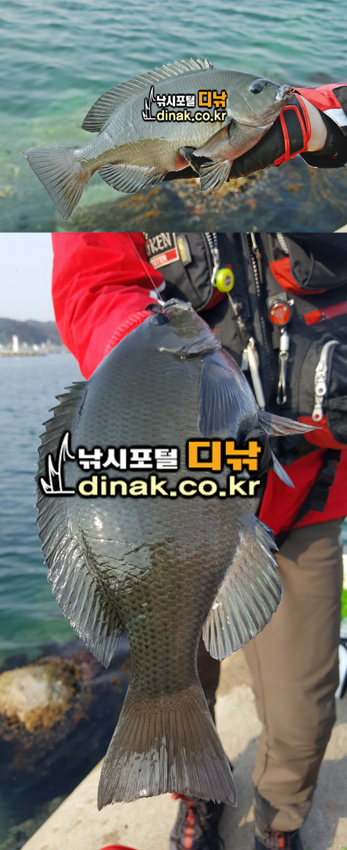 크기변환_꾸미기_씨알.jpg