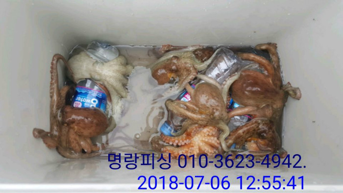 6-2 바닷물과 얼린 생수.jpg