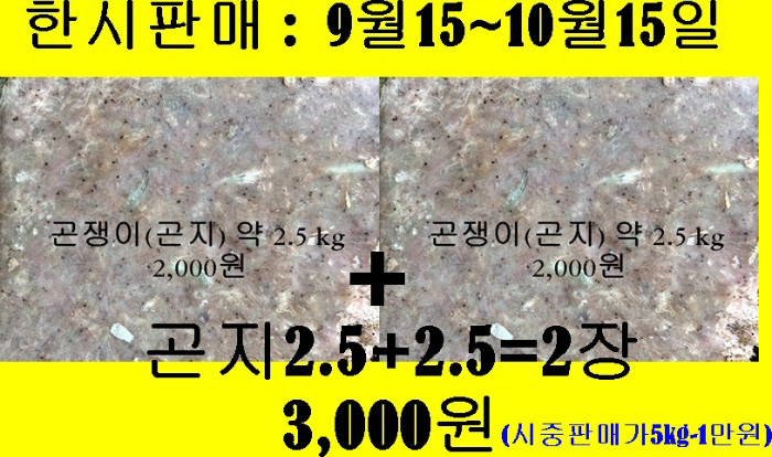 곤지2장--3천원.jpg