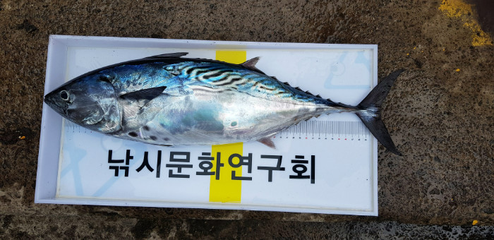 KakaoTalk_Moim_7Md7JK3hcCVnw7KrDczfFoqtOVjCOB.jpg