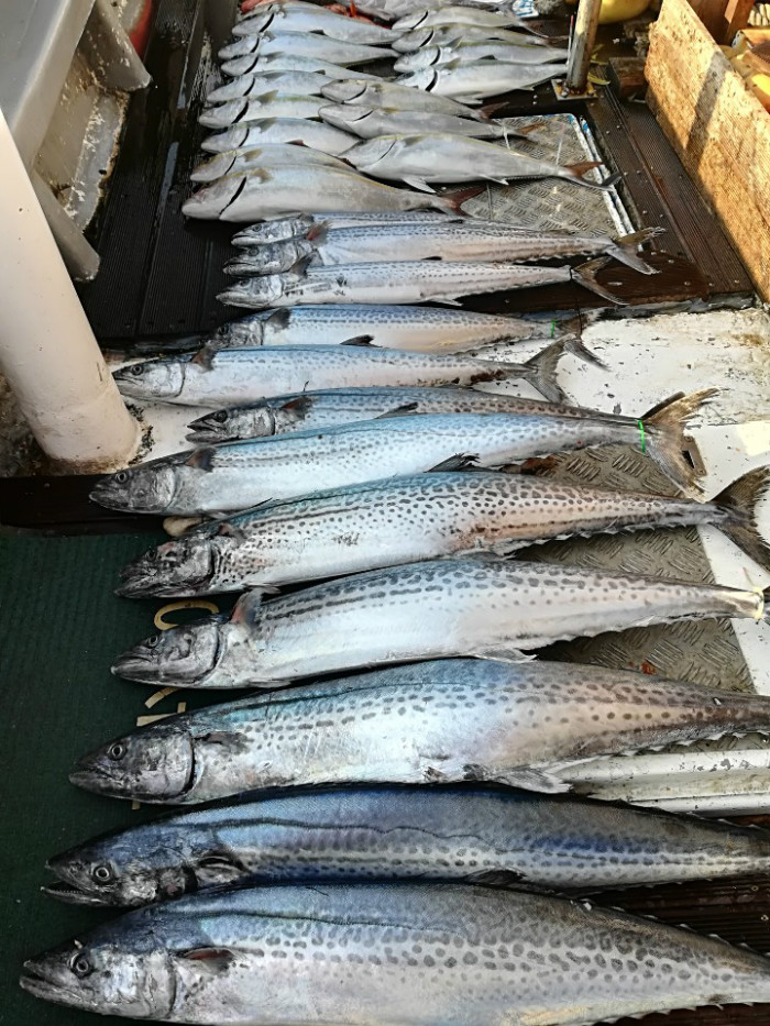 전체 (2).jpg