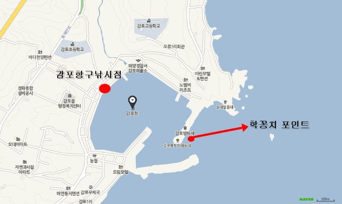 감포항.png