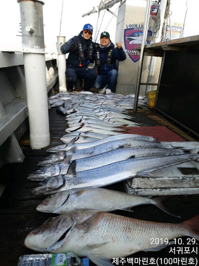 전체.jpg