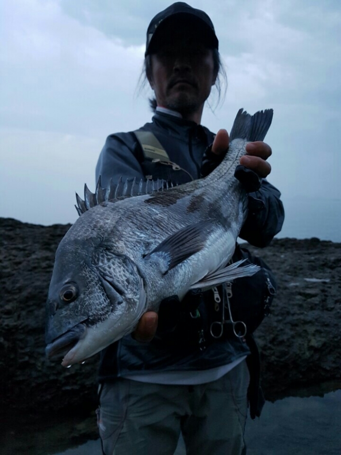 첨부이미지