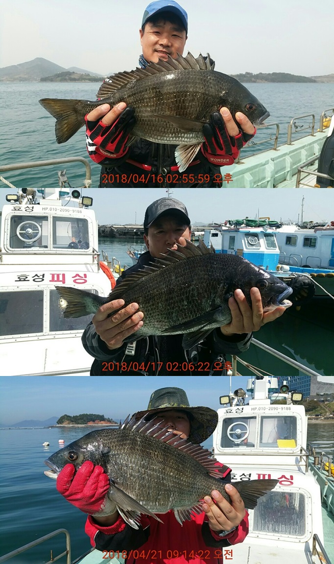 첨부이미지