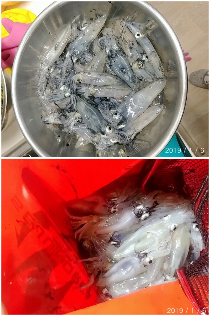 첨부이미지